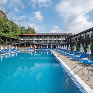 Park Hotel Asenevtsi